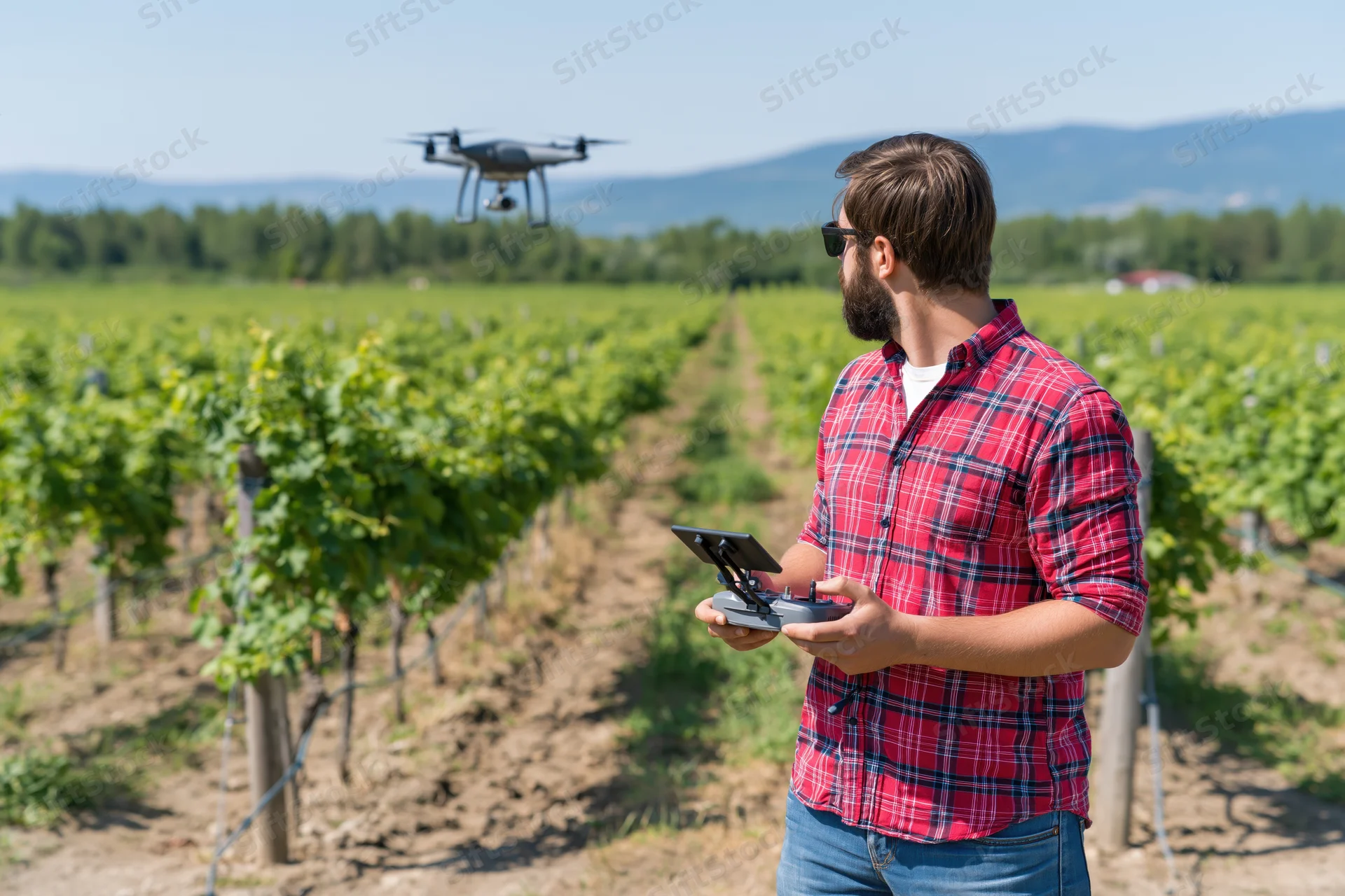 Man operating drone over vineyard rows with remote control in hand