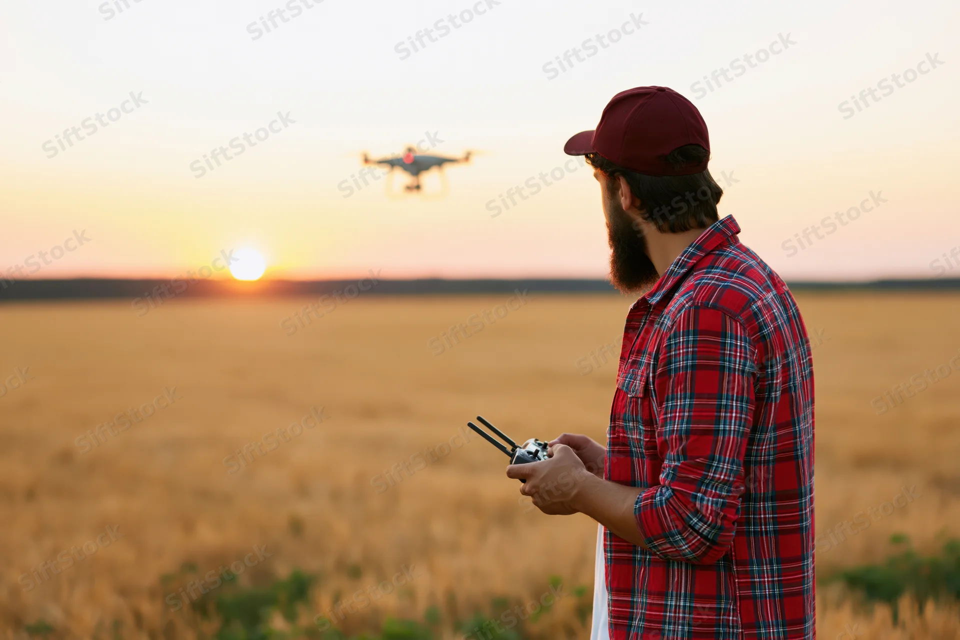 Man operating drone with remote in wheat field at sunset