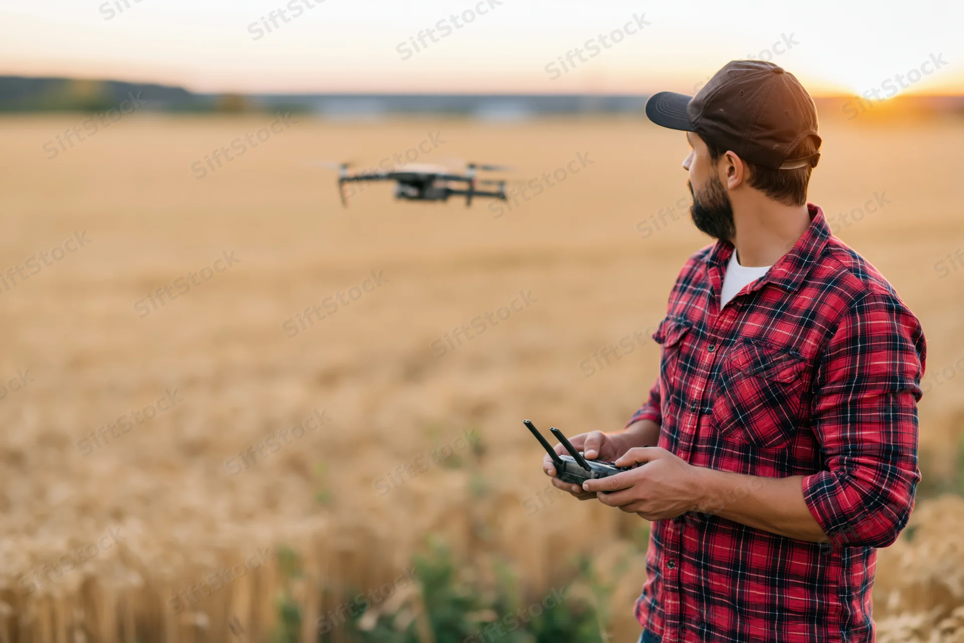 Man operating drone over wheat field at sunset