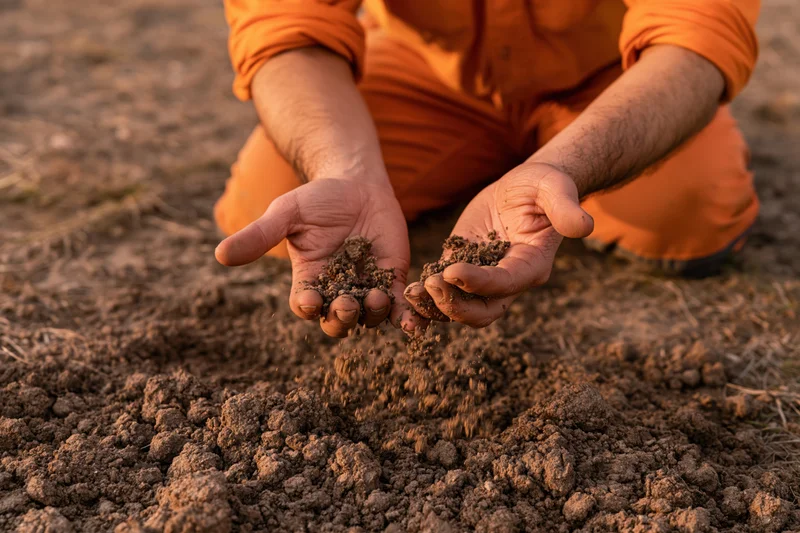 Farmer holding soil in hands over tilled field