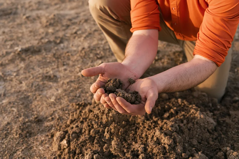 Farmer holding soil in hands while crouching in a field