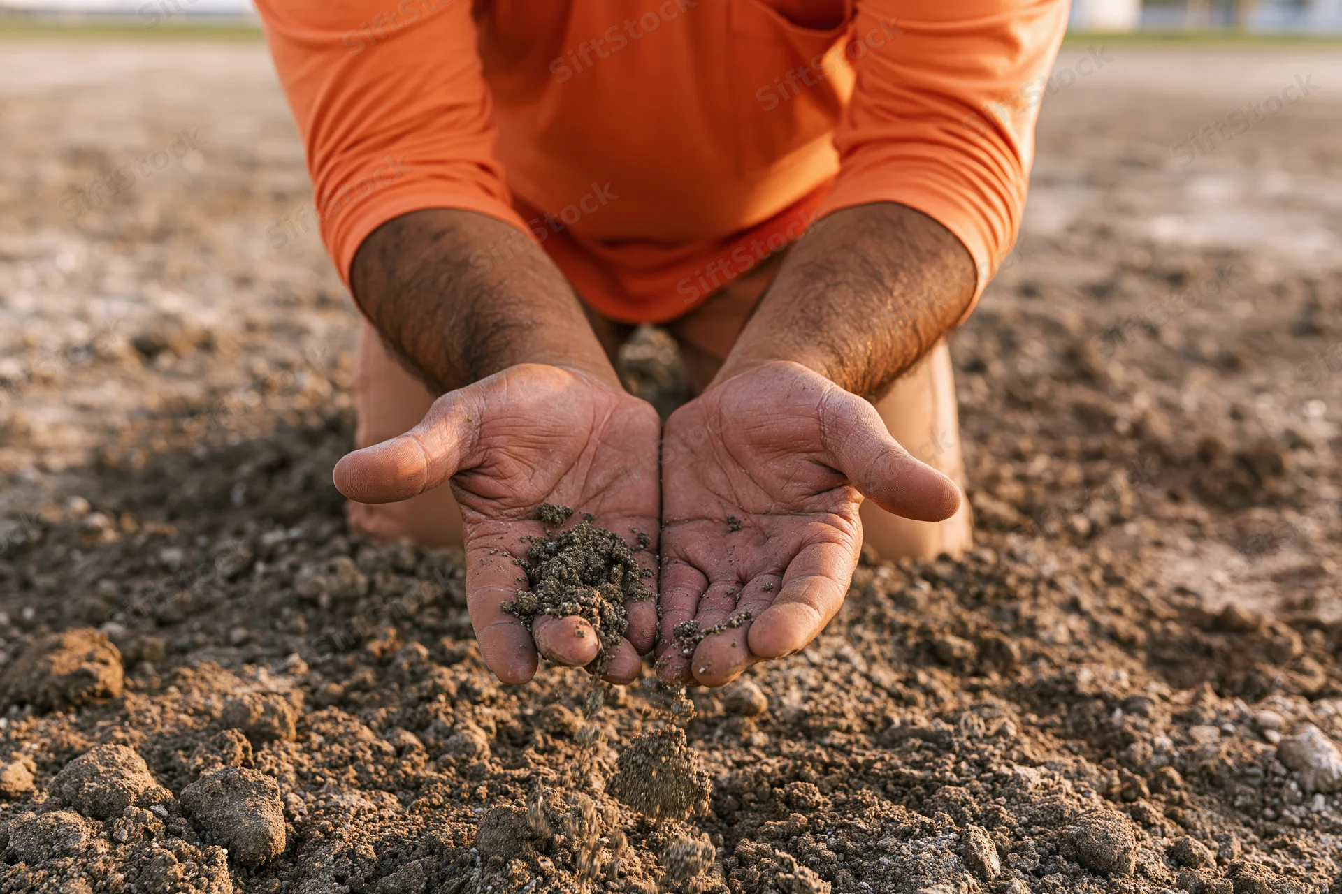 Farmer holding soil in hands over tilled field