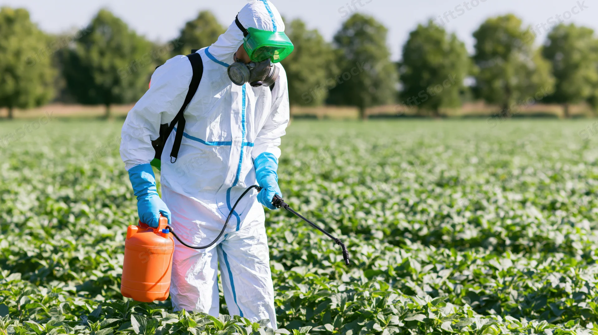 Farmer in protective suit spraying pesticide on a soybean field