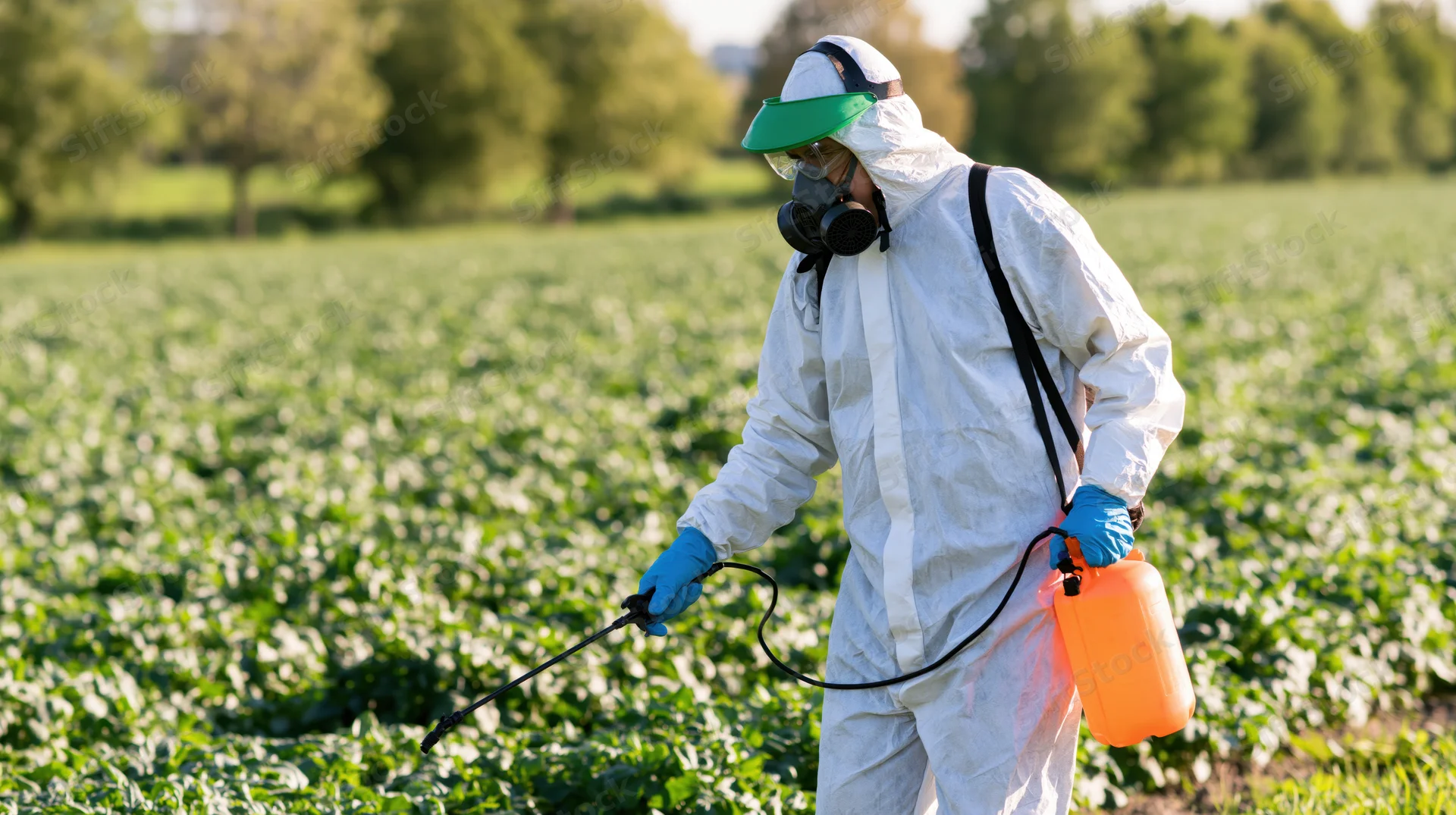 Farmer in protective suit spraying pesticide in a green field