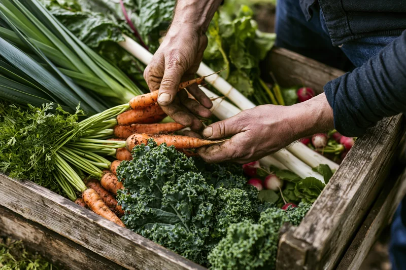 Hands sorting fresh vegetables in a wooden crate outdoors