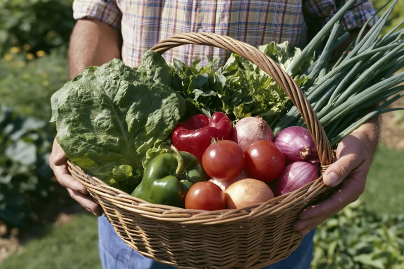 Farmer holding a wicker basket filled with fresh vegetables in a garden