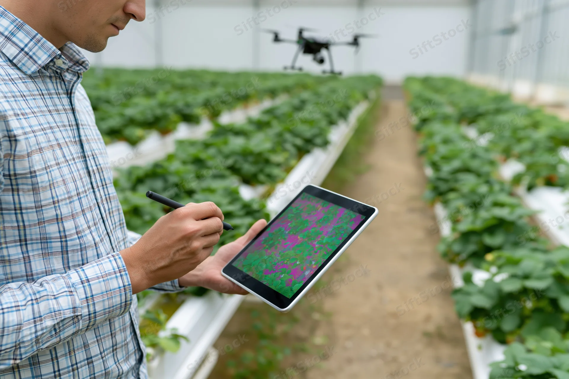 Man using tablet with stylus to monitor crops in greenhouse while drone flies overhead
