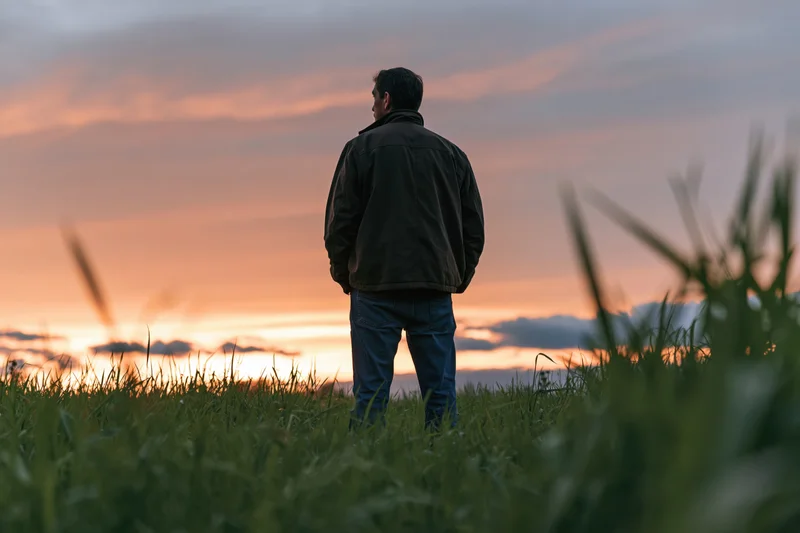 Man standing in a grassy field at sunset, back to camera, facing horizon