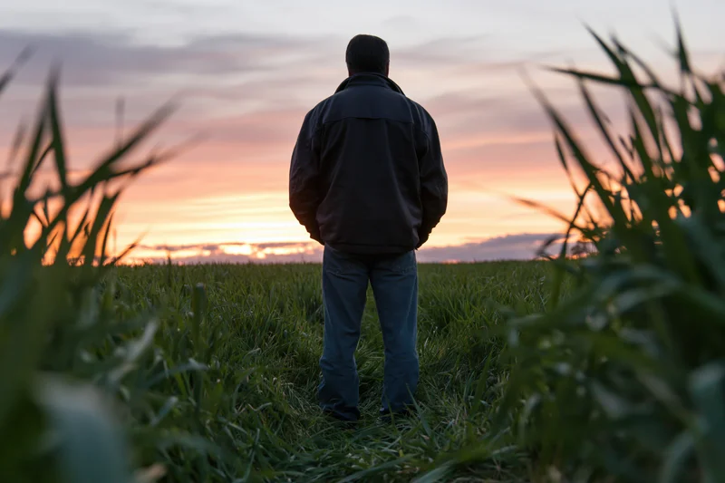 Man standing in a field of crops at sunset viewed from behind