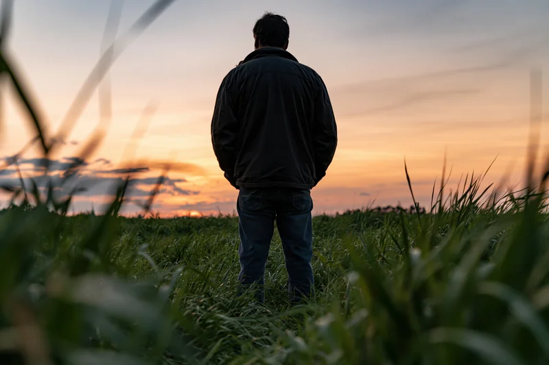 Man standing in a cornfield at sunset viewed from behind