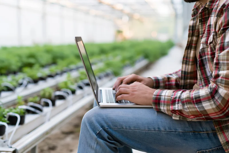 Man typing on laptop in greenhouse surrounded by rows of seedlings