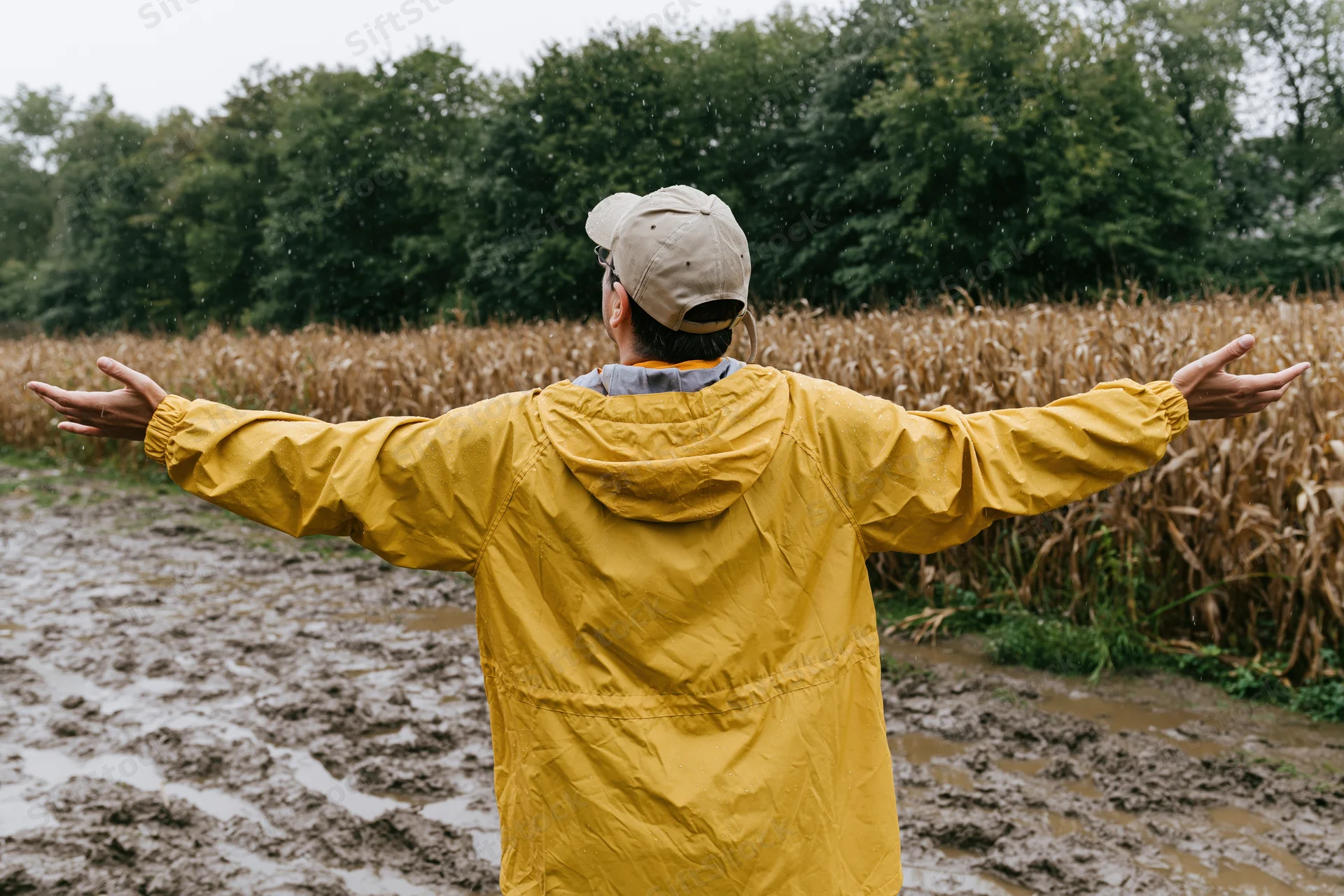 Man in yellow raincoat with arms outstretched standing in muddy cornfield during rain