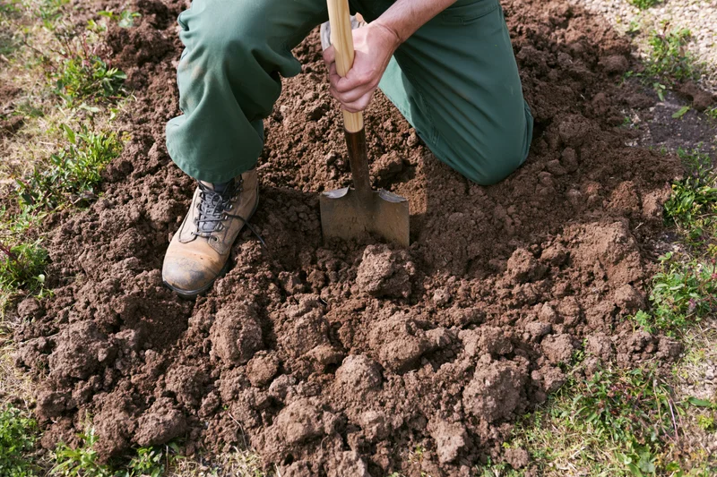 Person kneeling and digging soil with shovel in garden