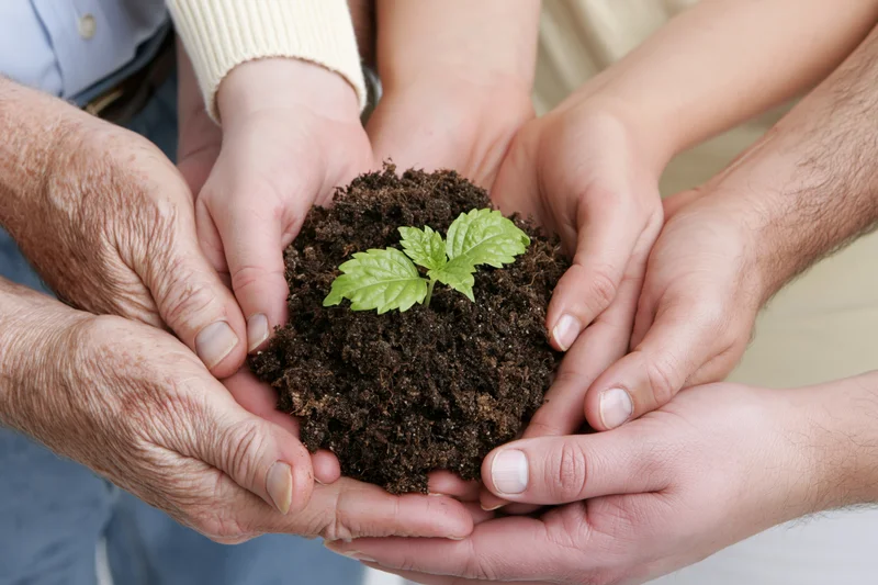 Multiple hands of different ages cradling a small green seedling in soil