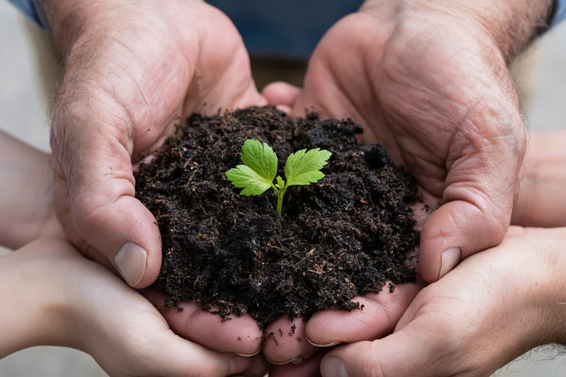 Adult and child hands holding soil with a small green seedling growing in the center