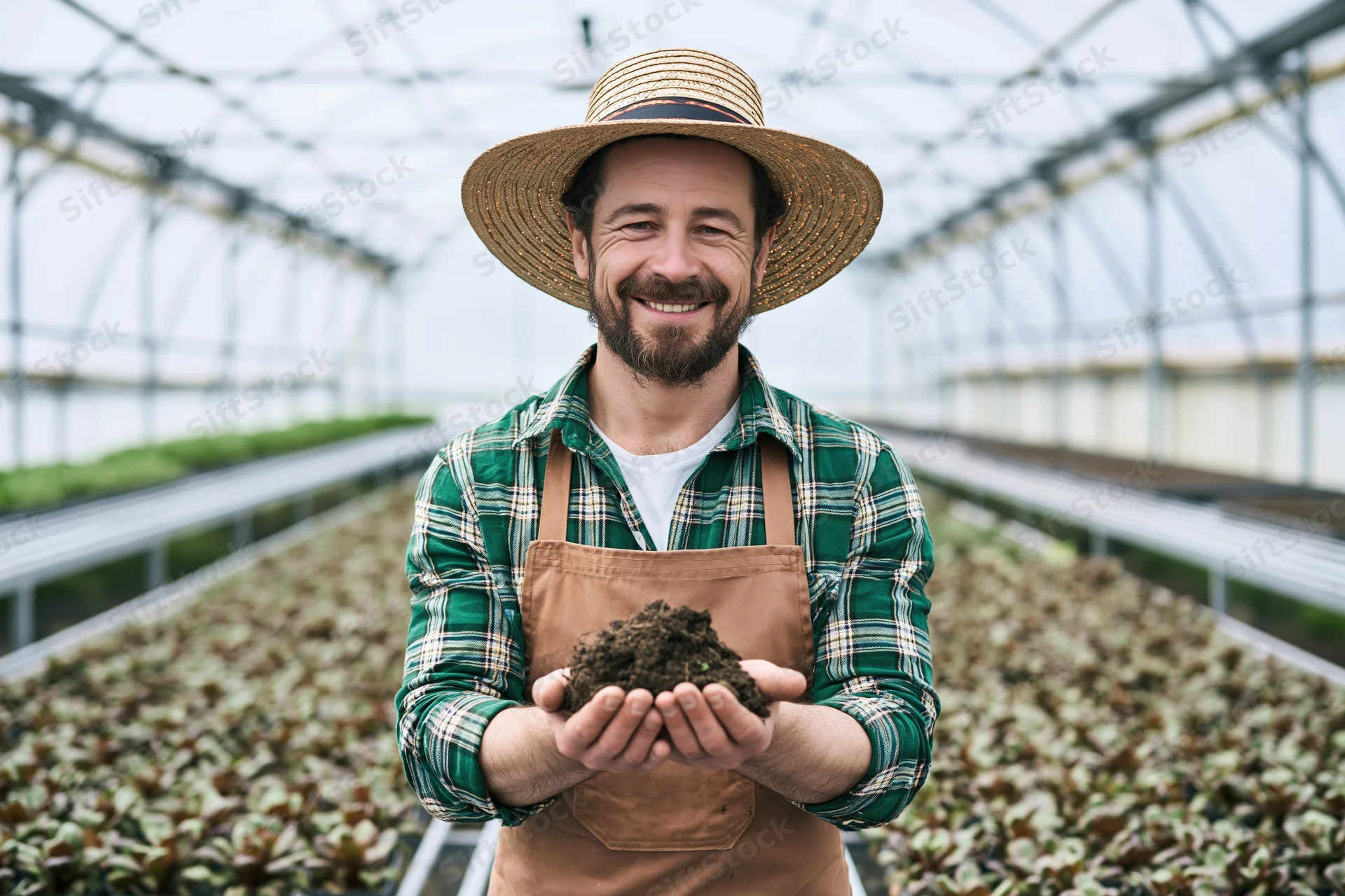 Farmer holding soil in greenhouse with rows of leafy plants