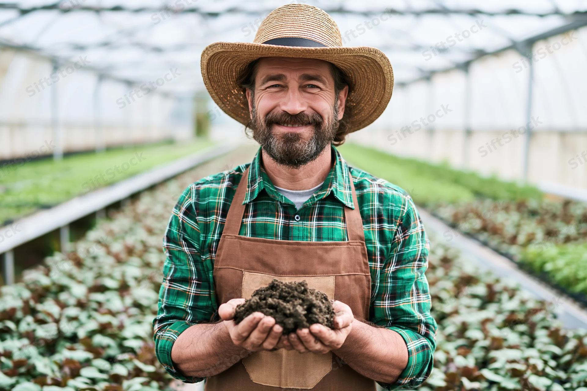 Smiling farmer holding soil in greenhouse among rows of plants