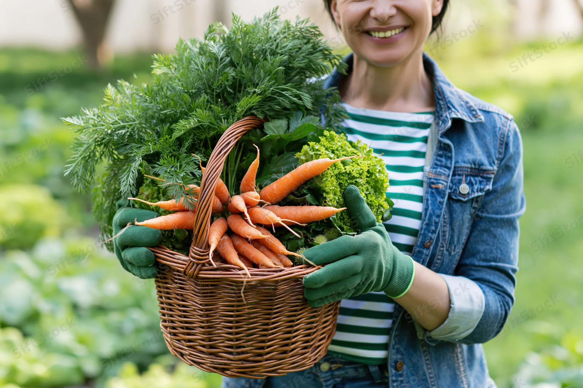 Woman holding a basket of fresh carrots and lettuce in a garden