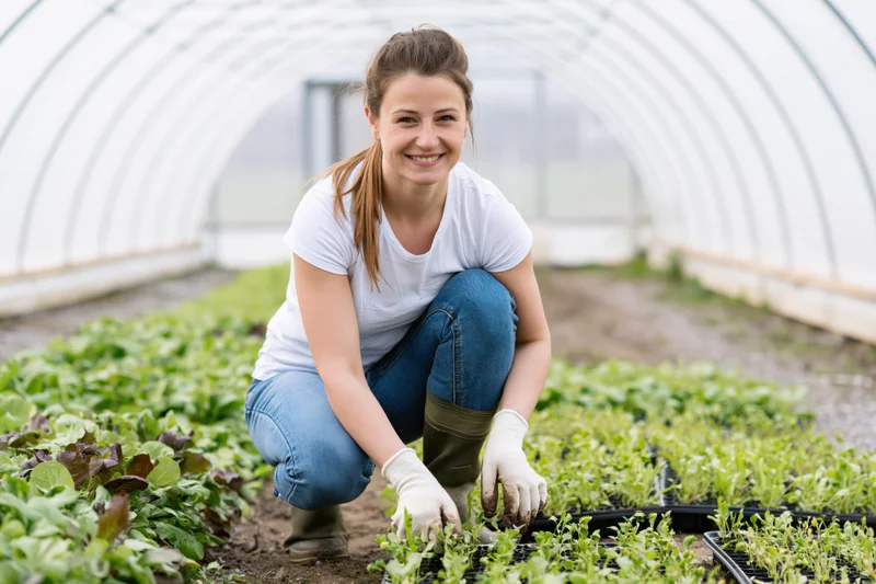 Woman crouching in greenhouse tending seedlings in trays