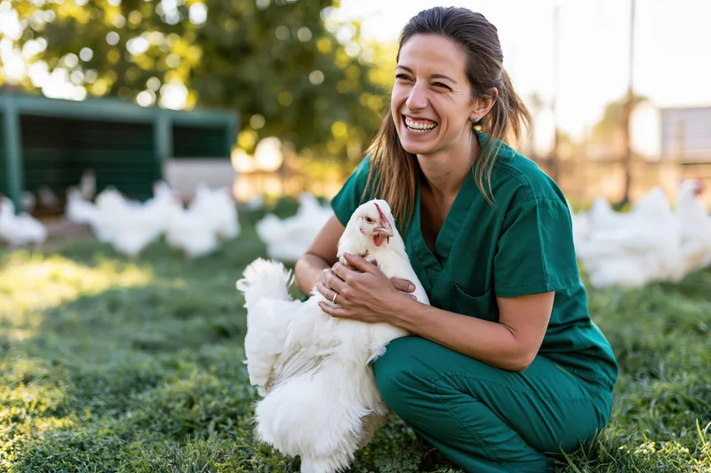 Woman in green scrubs holding a white chicken on a grassy farm