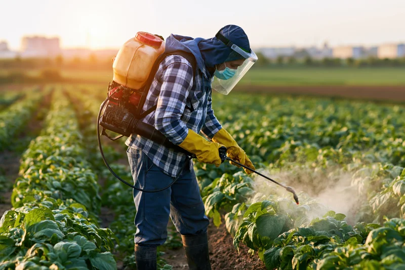 Farmer spraying pesticide on crops in a field at sunset
