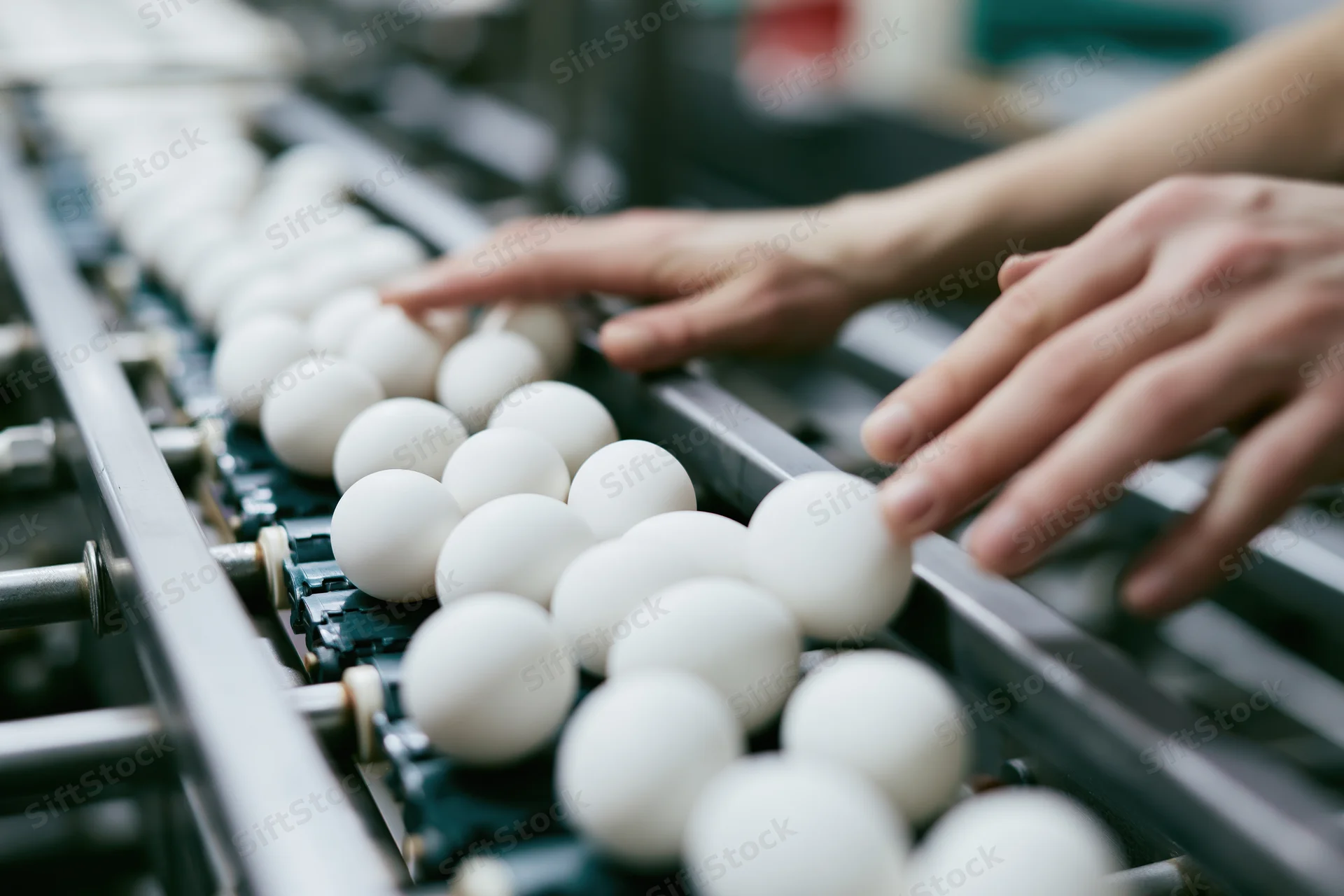 Worker's hands inspecting eggs on a conveyor belt in a processing plant