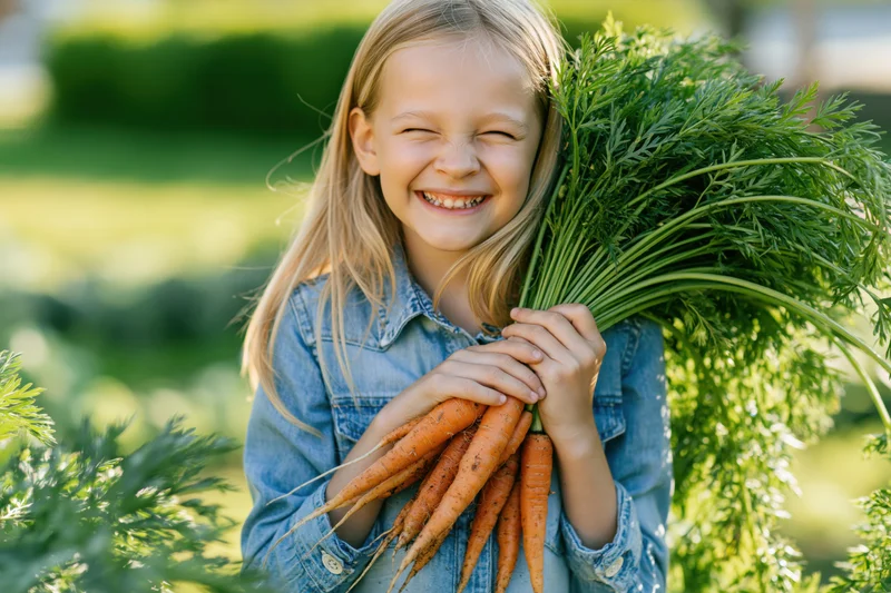 Young girl smiling and holding a bunch of fresh carrots in a garden