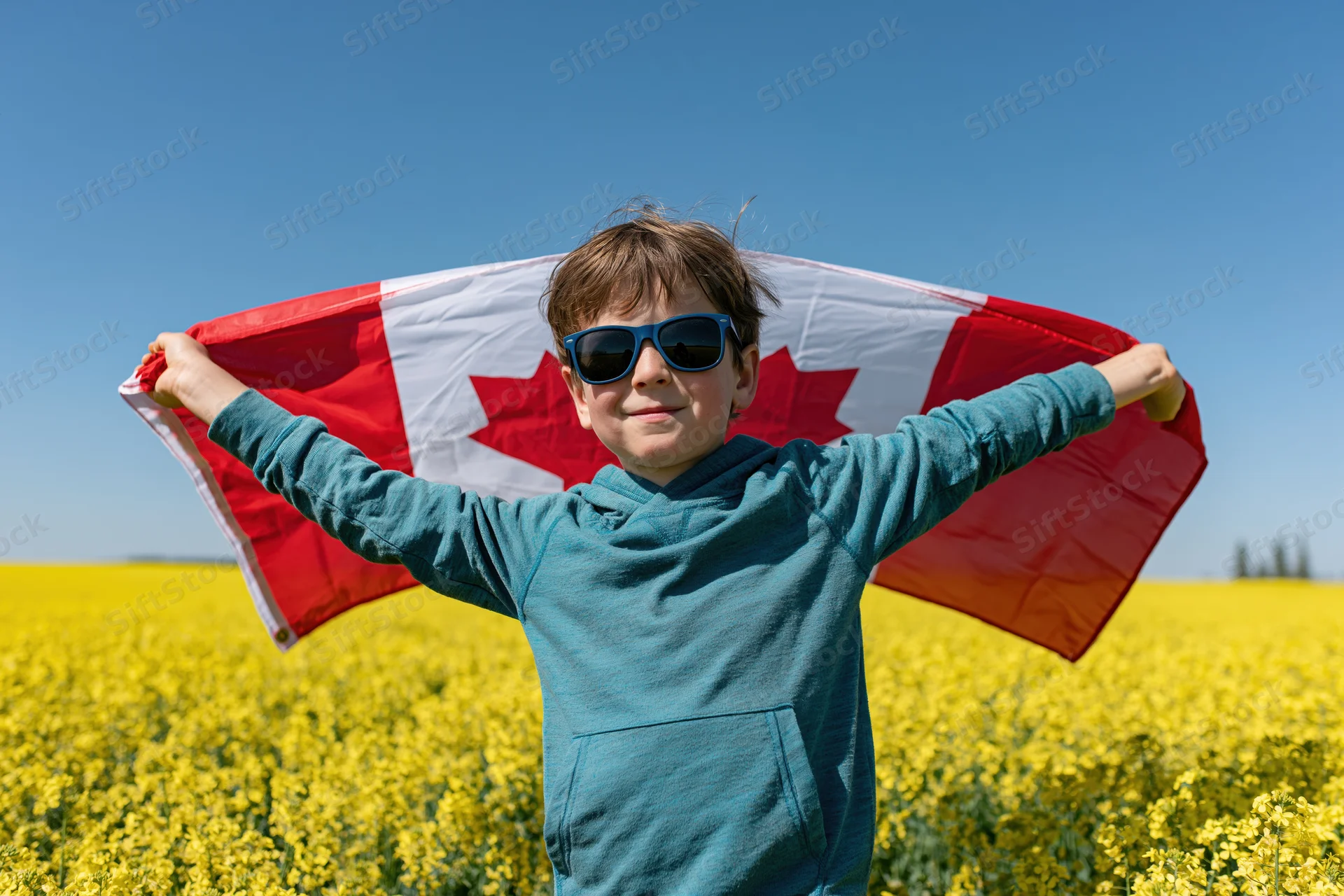 Young boy holding canadian flag in a canola field on a sunny day