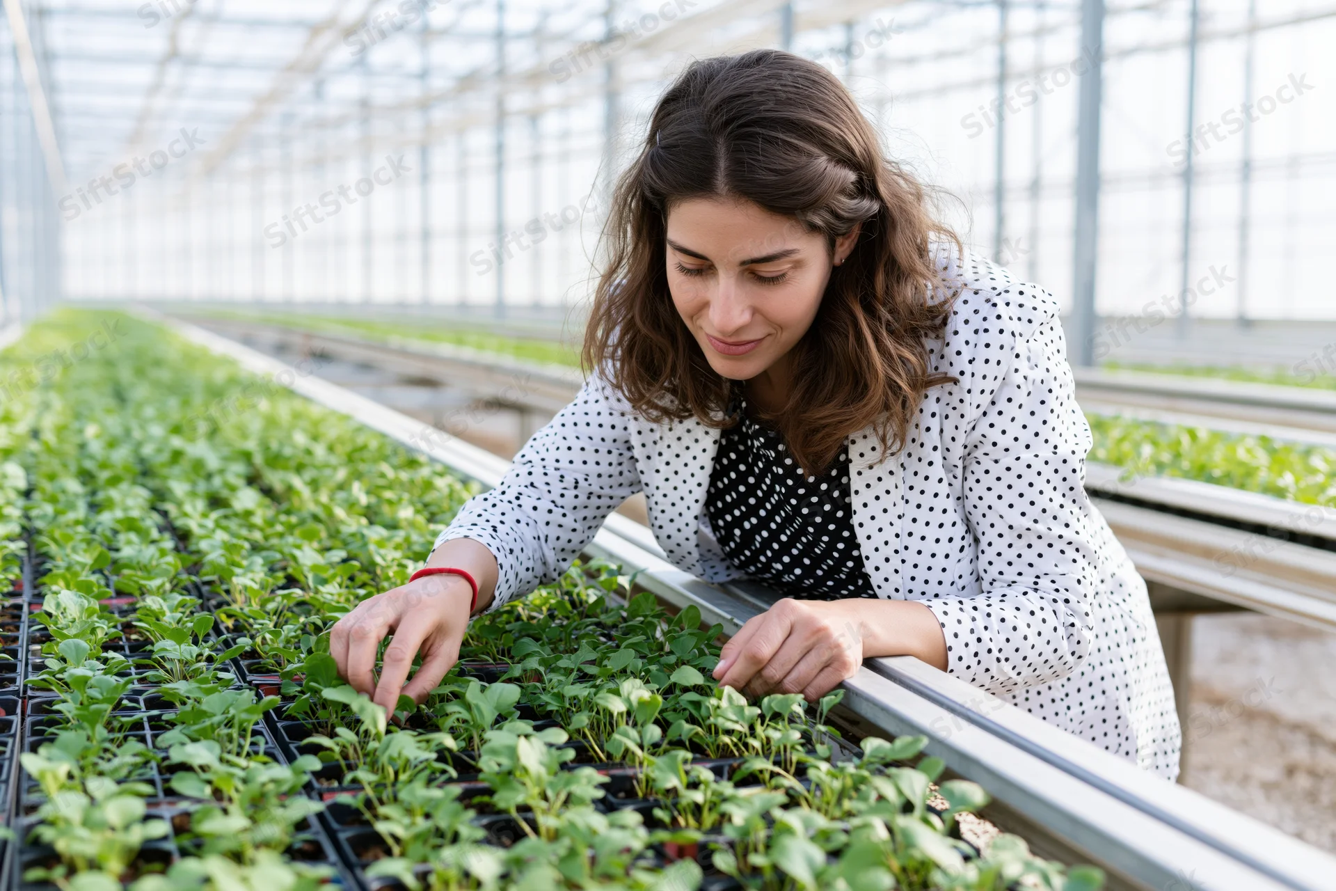 Woman examining seedlings in a greenhouse tray system