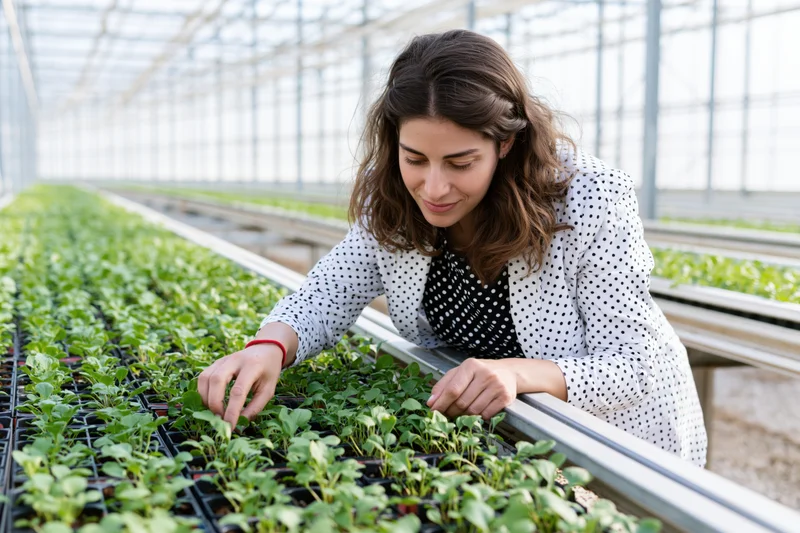 Woman examining seedlings in a greenhouse tray system