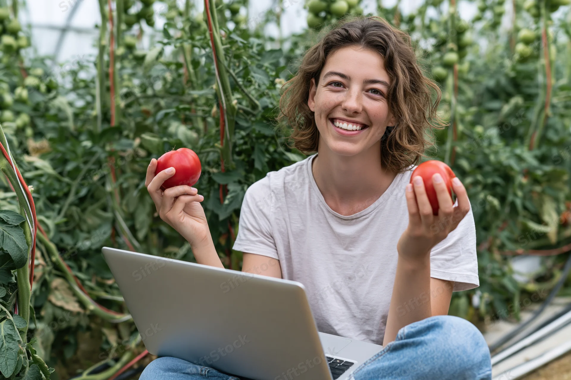 Young woman holding tomatoes while sitting with laptop in greenhouse