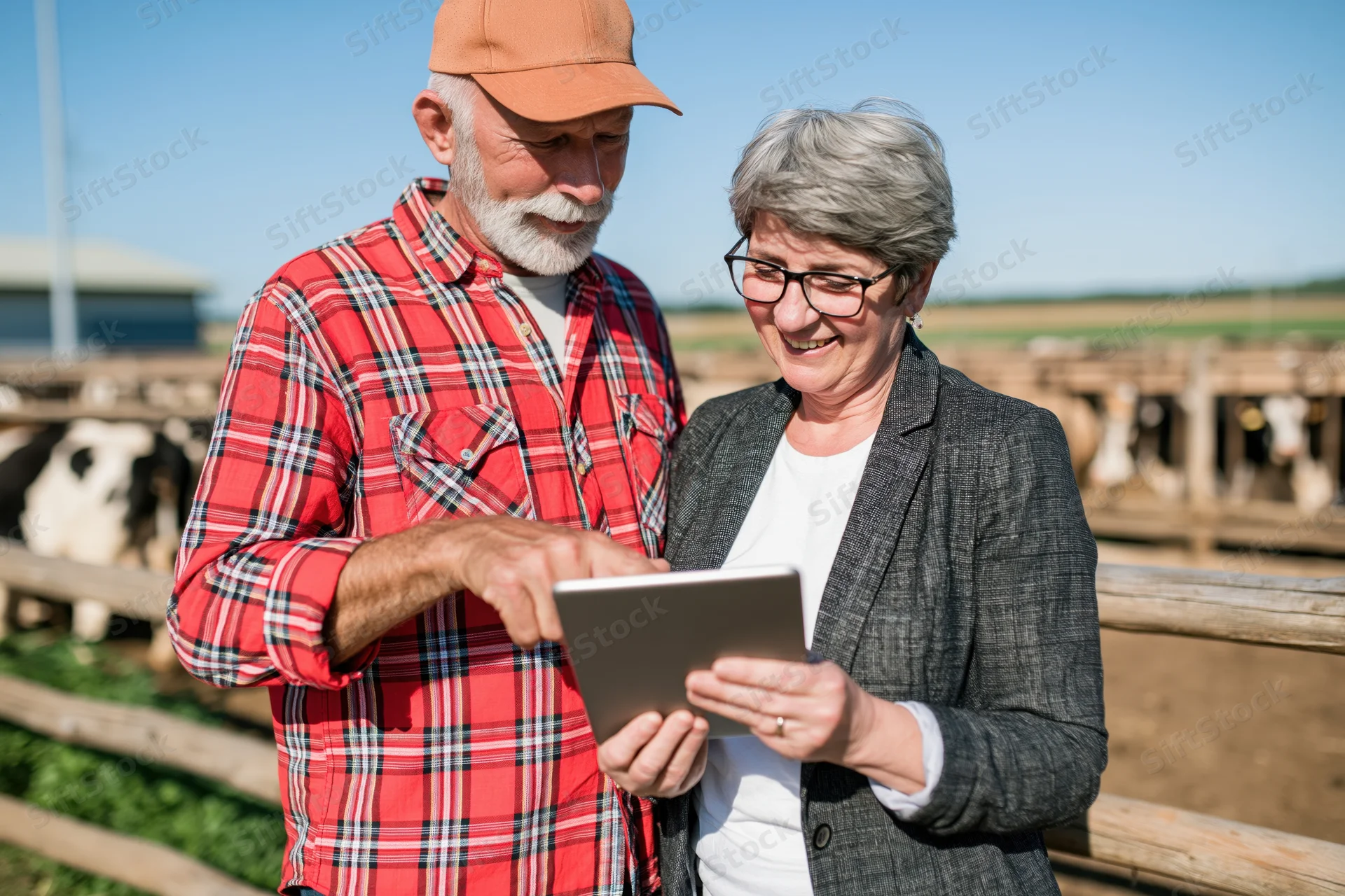 Farmer and woman reviewing tablet together at a dairy farm fence