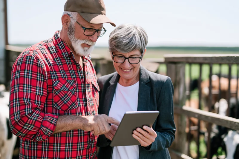 Farmer and woman reviewing tablet data on a cattle ranch