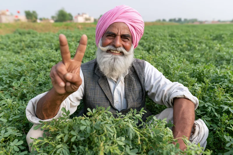 Senior sikh farmer smiling and making peace gesture in a green crop field
