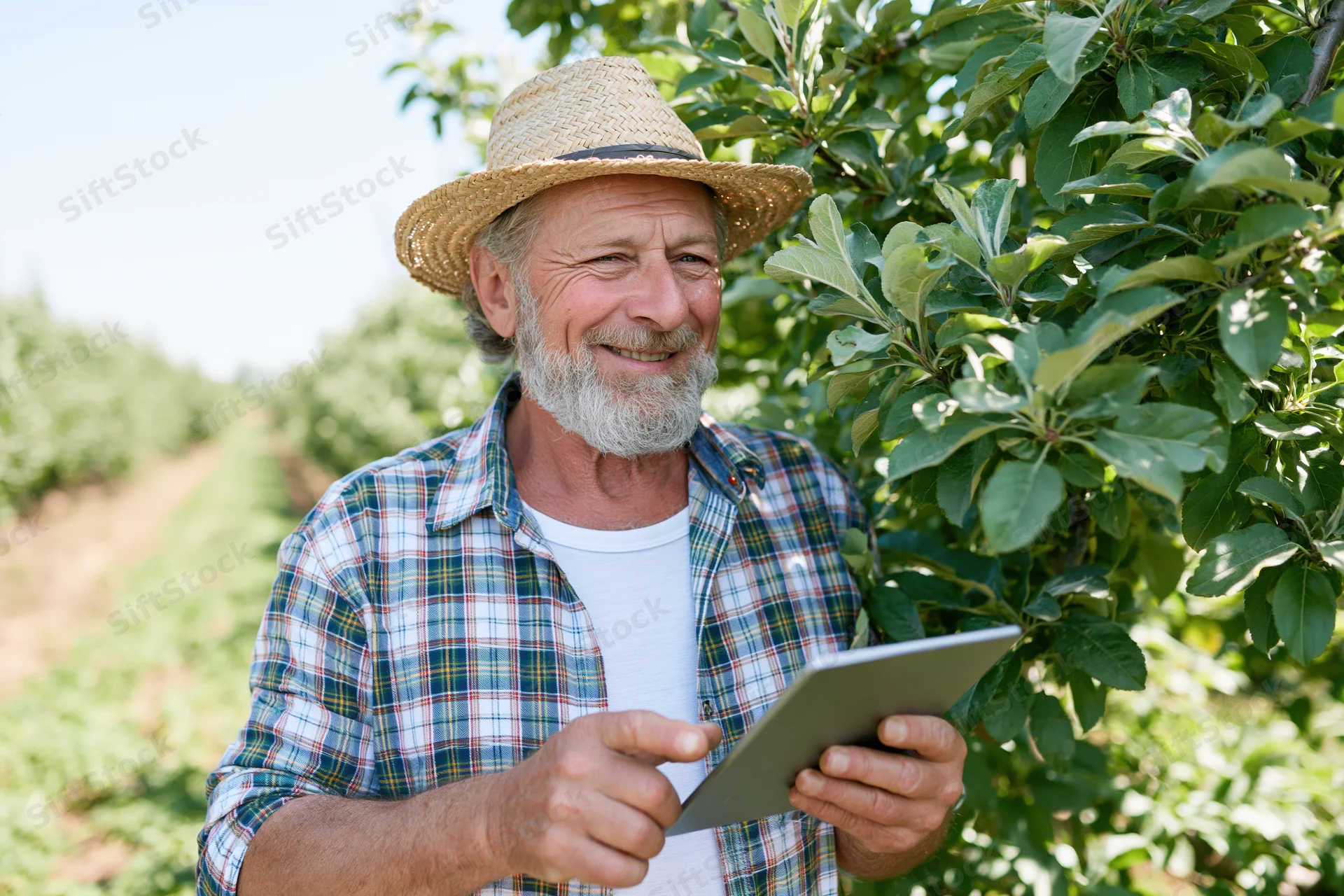 Senior man smiling while using tablet in apple orchard