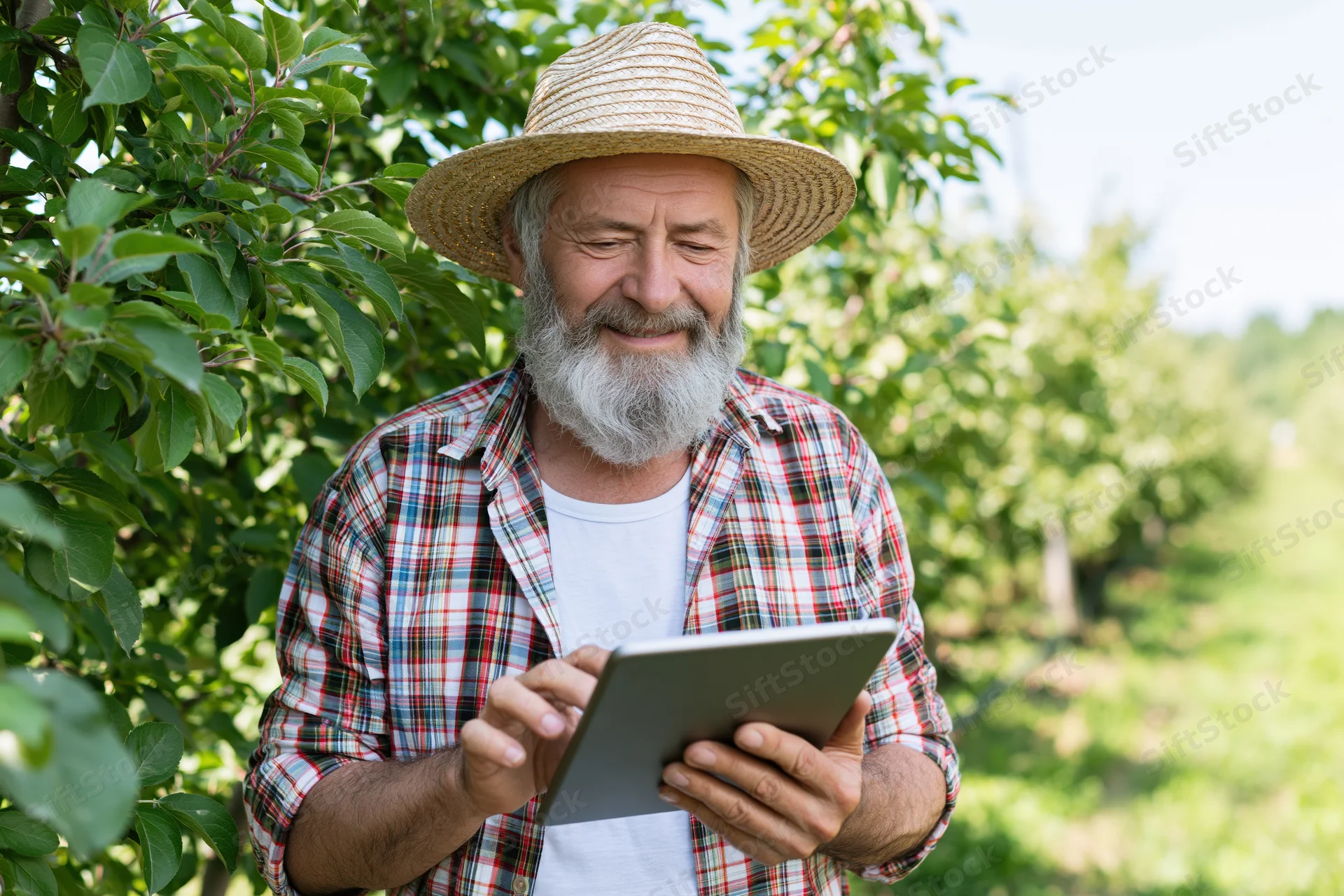 Senior man using tablet in apple orchard during daytime