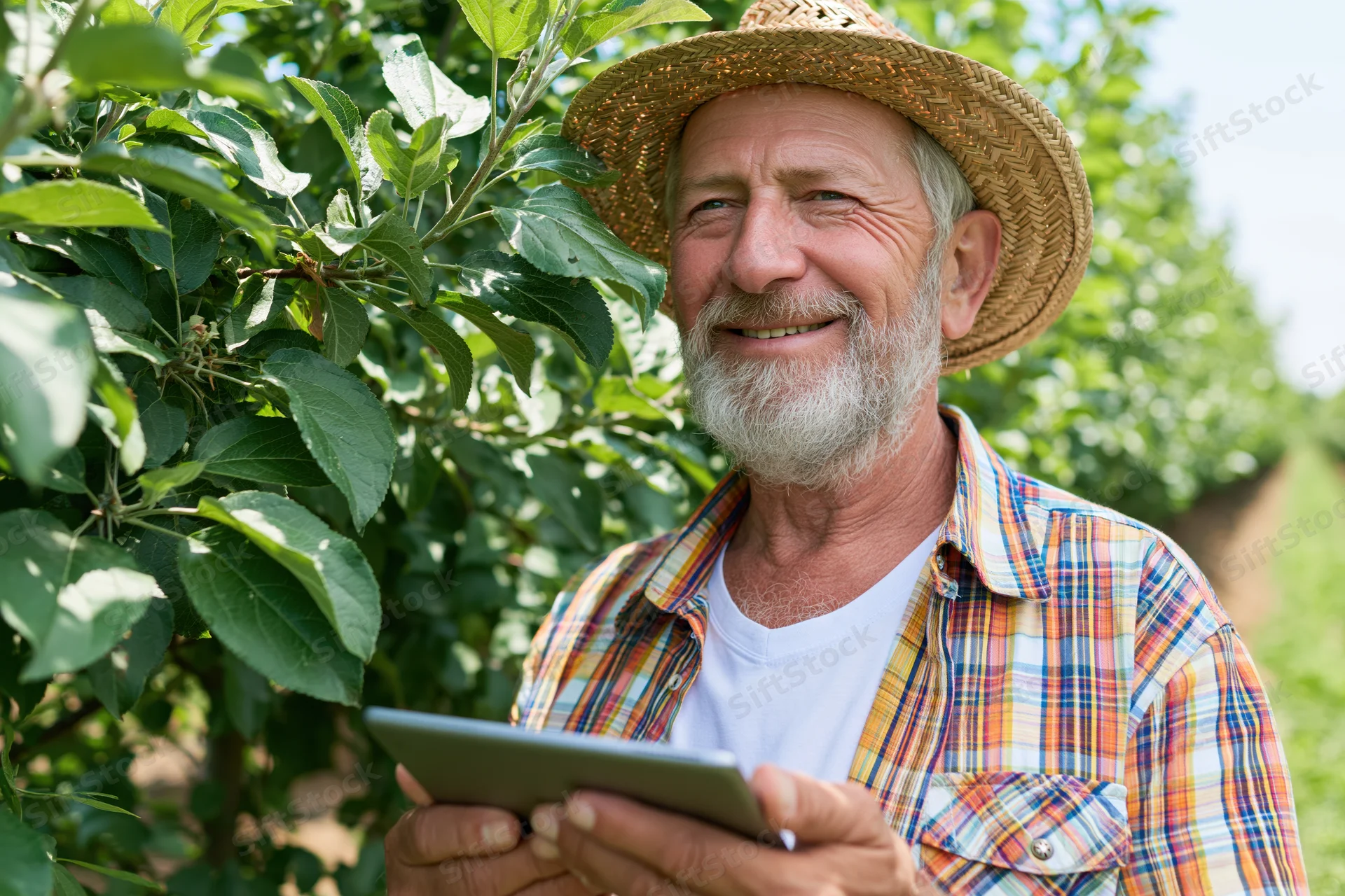 Senior man smiling while holding tablet in apple orchard