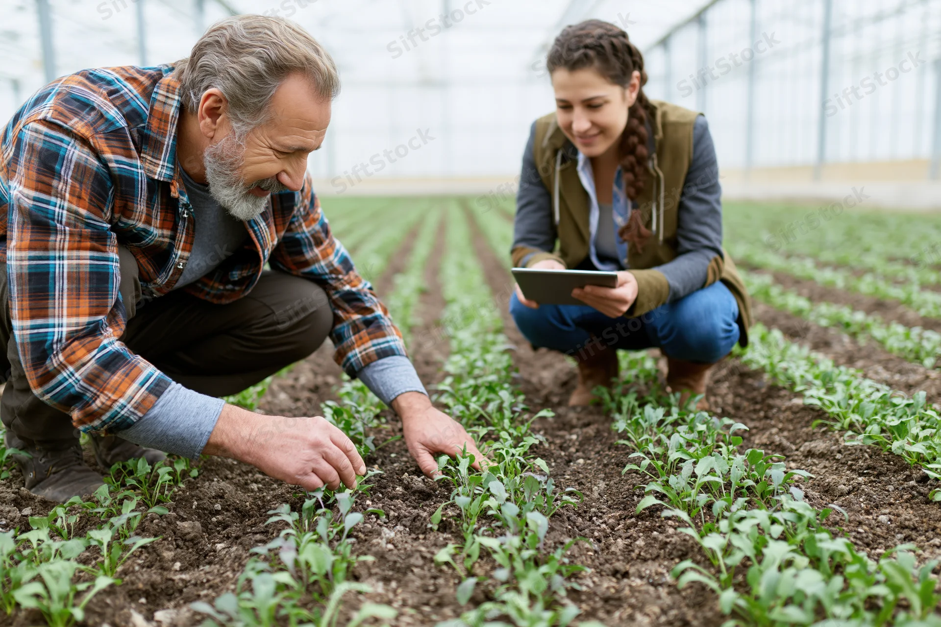 Older man and young woman crouching to examine seedlings in a greenhouse row