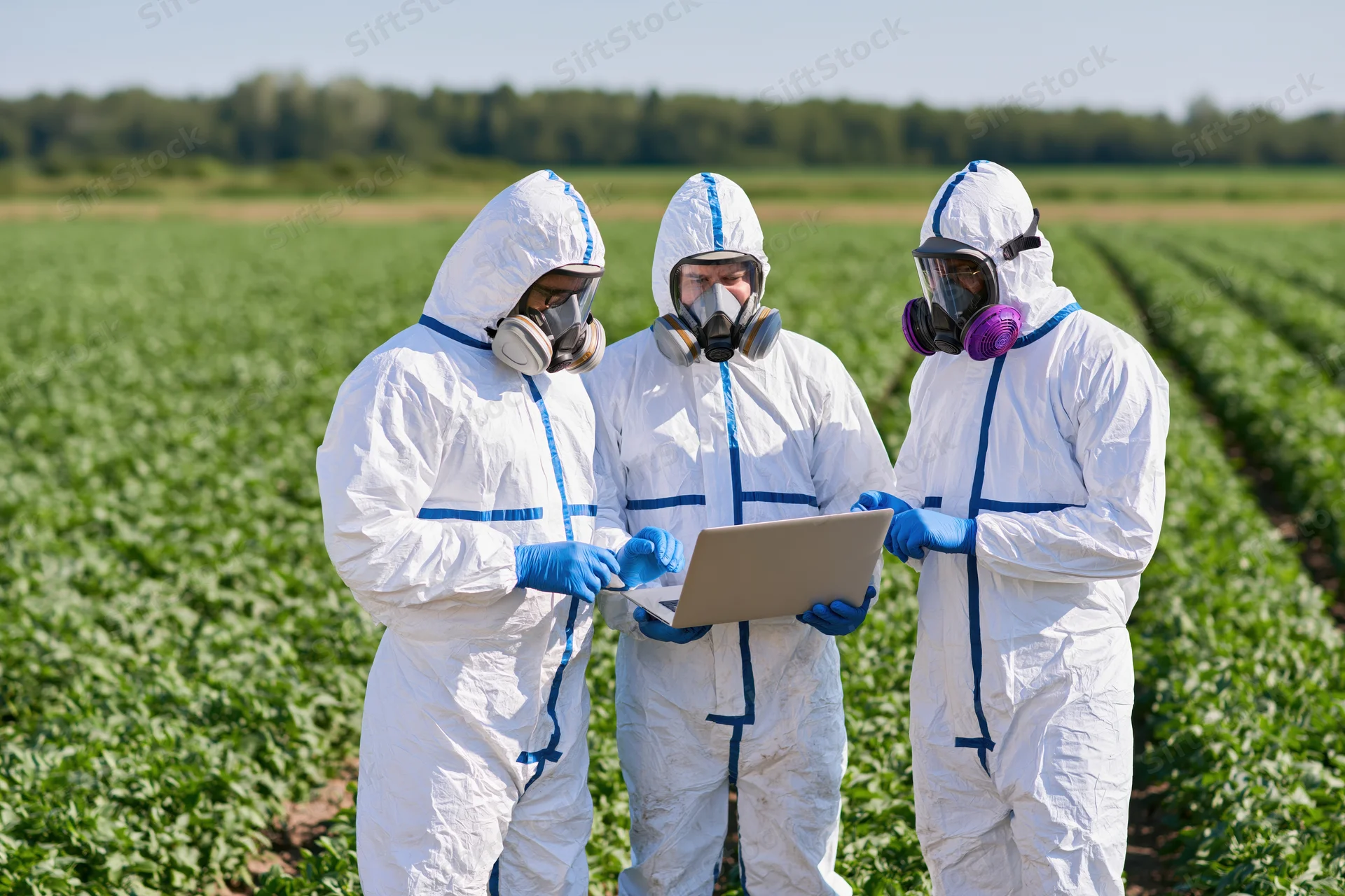 Three scientists in hazmat suits examining a tablet in a green crop field