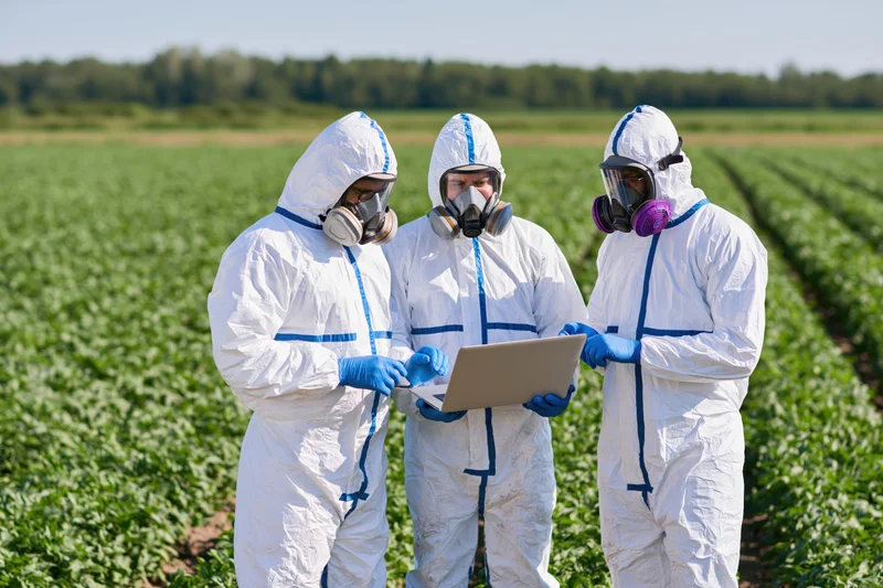 Three scientists in hazmat suits examining a tablet in a green crop field