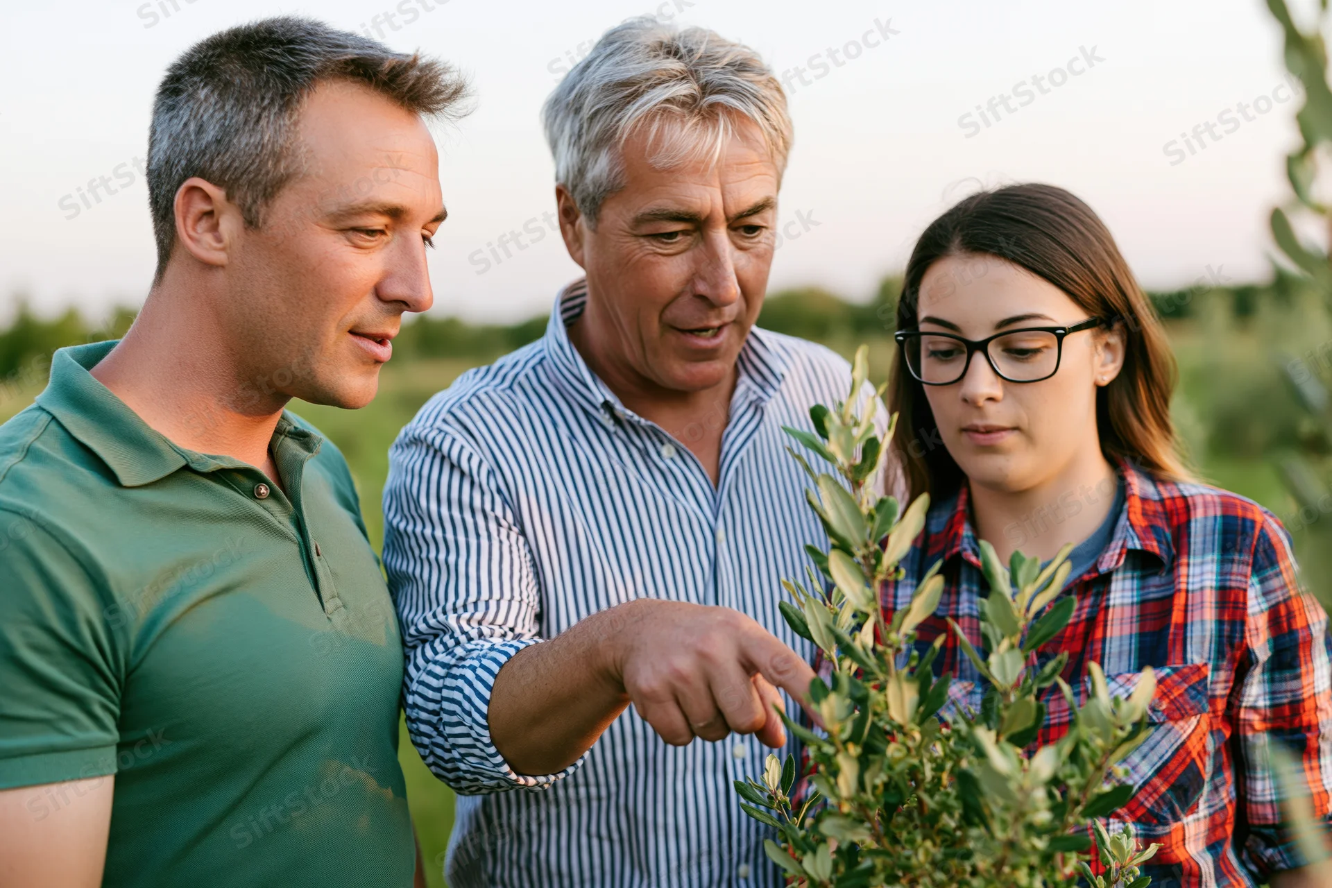 Three people examining a plant in a field during daylight
