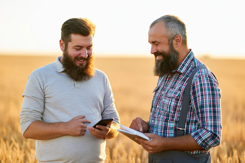 Two bearded men smiling and discussing crop data on smartphone and tablet in a wheat field at sunset