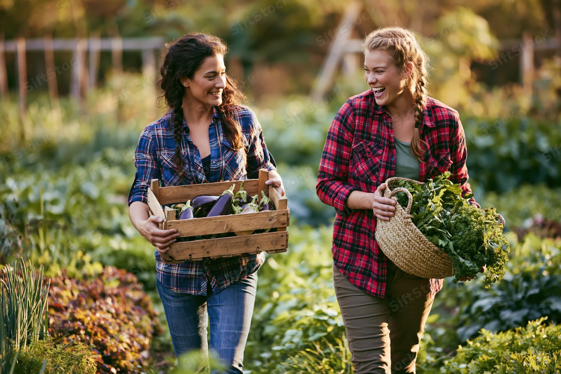 Two women gardeners carrying harvested vegetables in a garden field