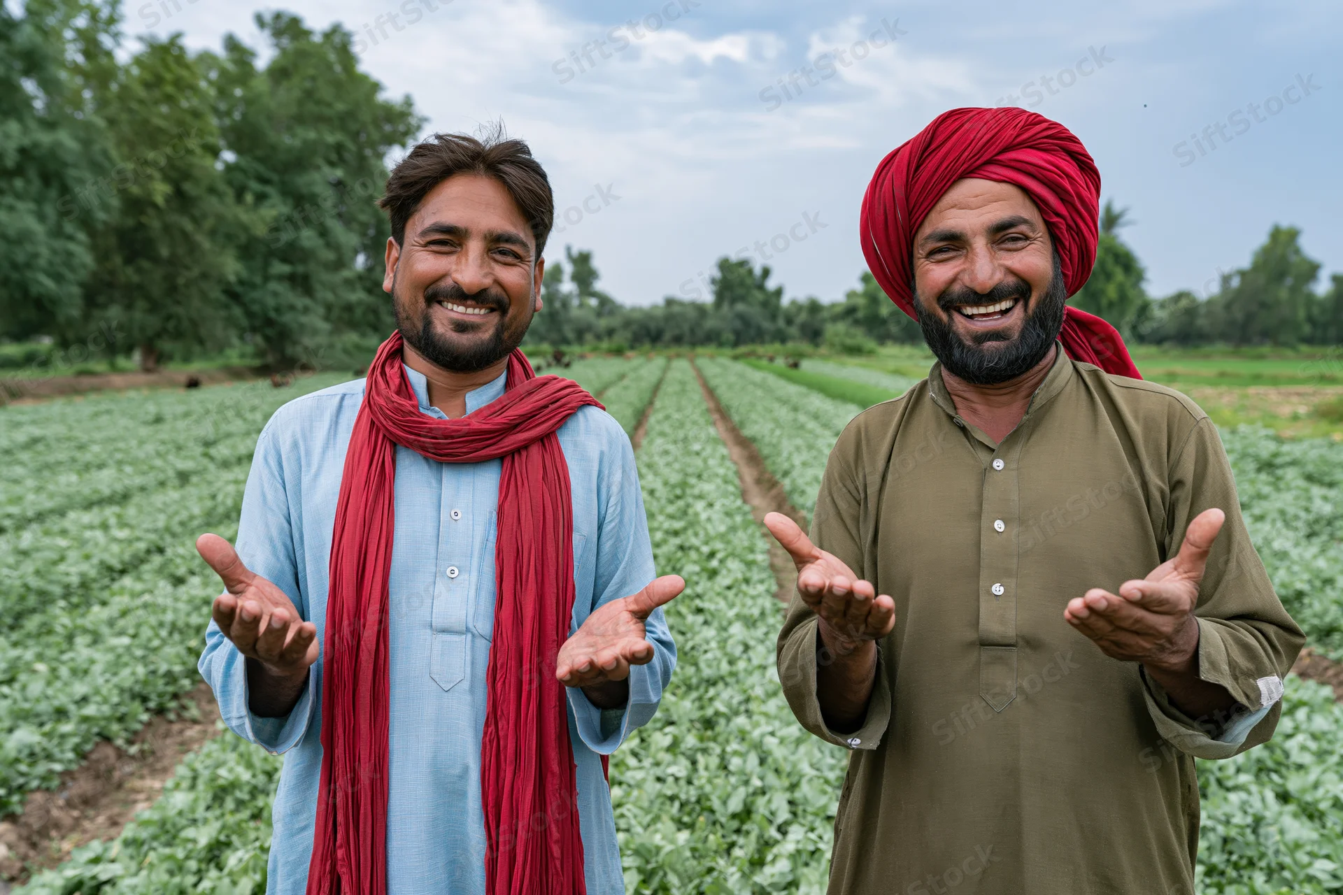 Two men smiling with open hands in a green crop field
