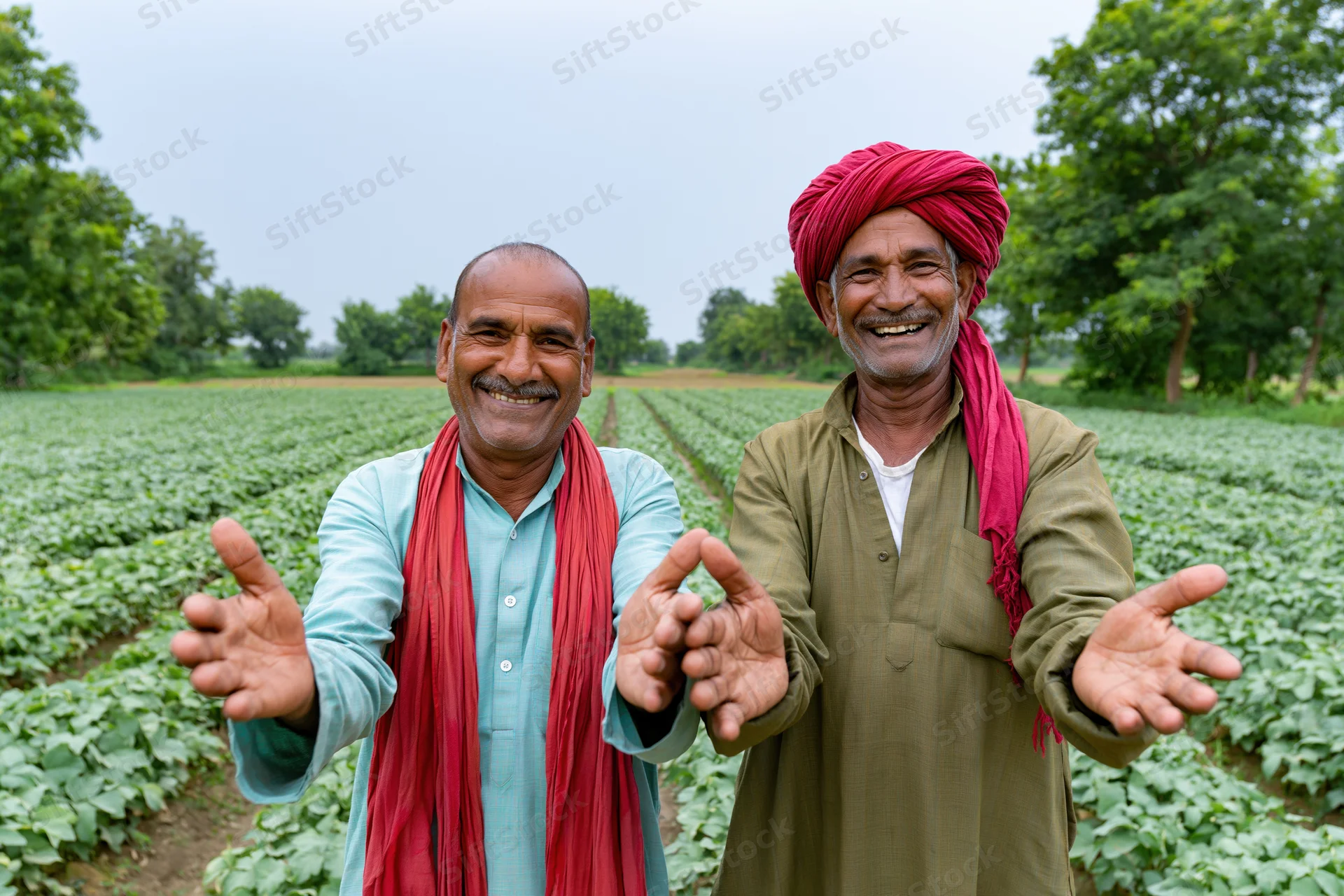 Two men smiling and gesturing in a cotton field in rural india