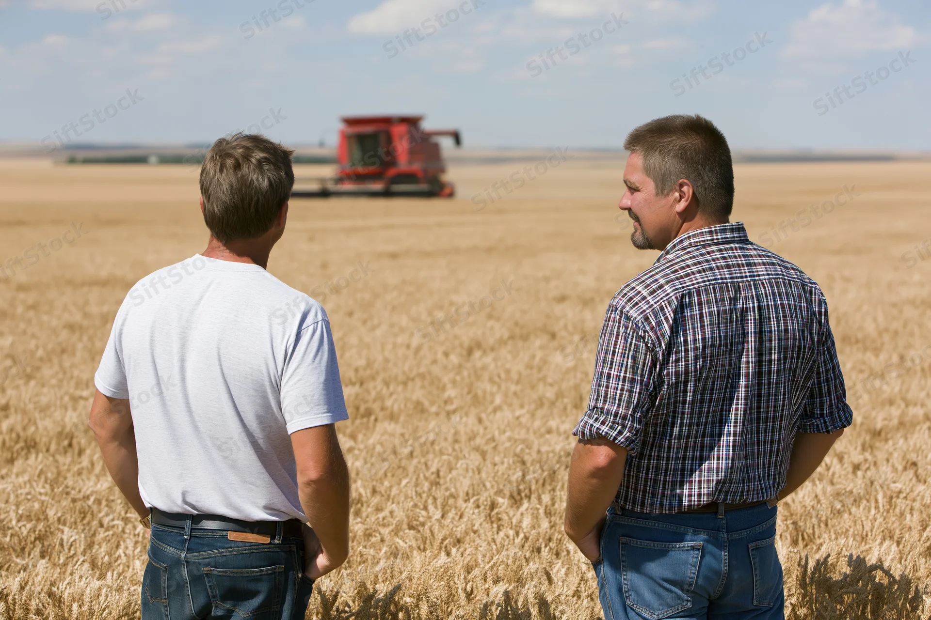 Two men standing in a wheat field watching a combine harvester during harvest