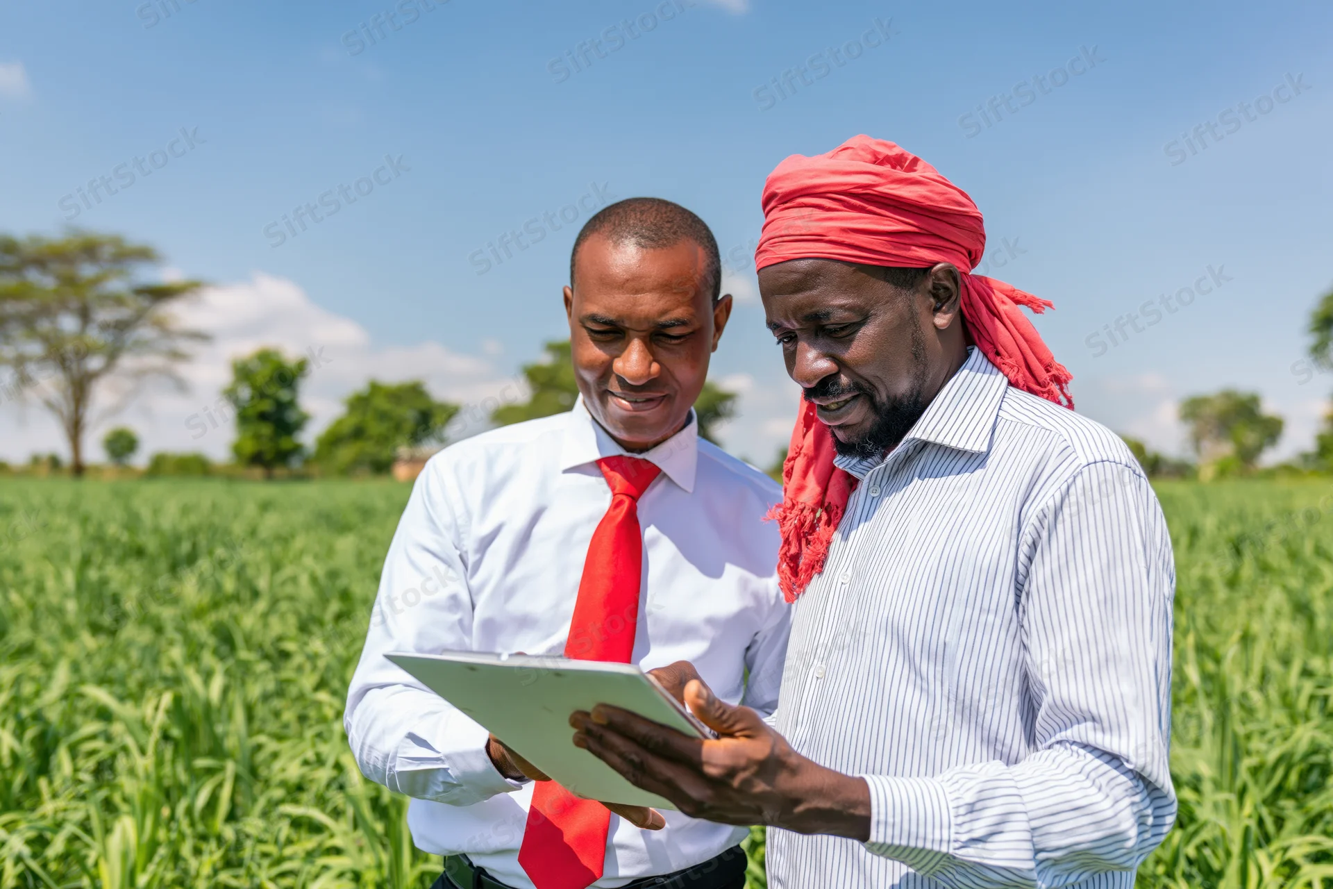 Two men examining a tablet in a green field during daylight