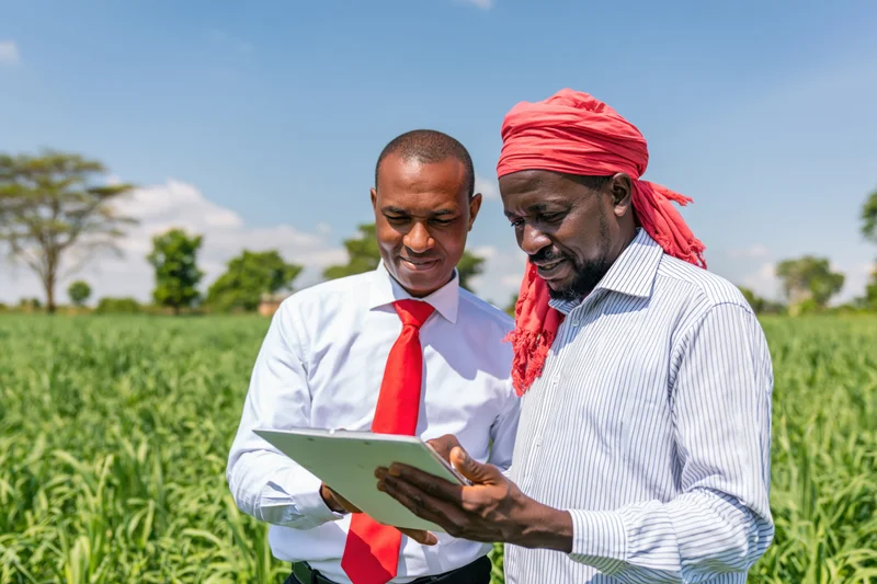 Two men examining a tablet in a green field during daylight