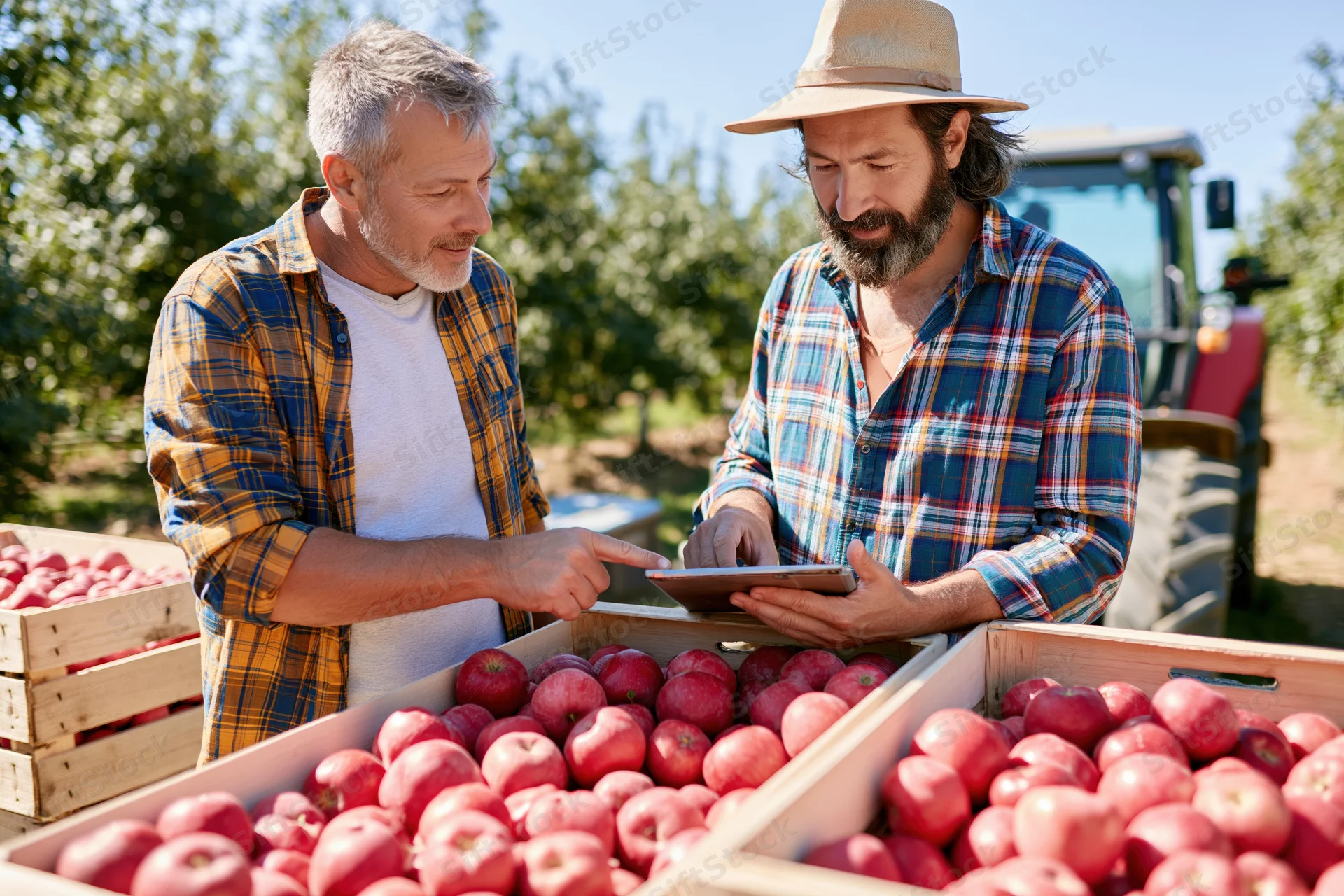 Two men inspecting apples in crates at an orchard using a tablet