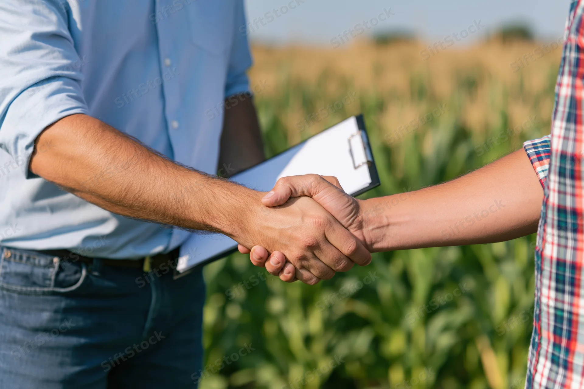 Two people shaking hands in a cornfield with a clipboard, indicating a farm inspection or agreement